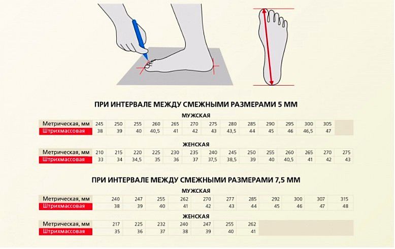 Таблица примерного соответствия размеров спецобуви мужчин и женщин